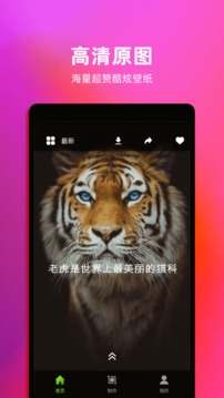 Live动态壁纸（一款安卓壁纸应用）