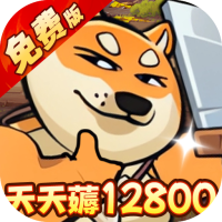 骑士竞技场
