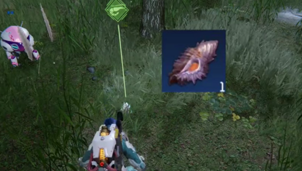 星球重启香螺怎么获得_星球重启香螺获取攻略