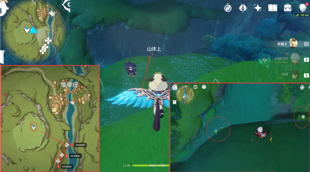 原神劫波莲采集位置介绍4 原神劫波莲采集位置介绍4