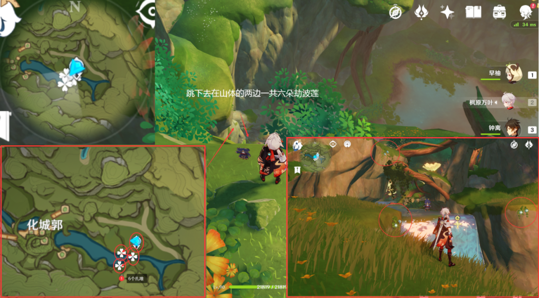 原神劫波莲采集位置介绍7 原神劫波莲采集位置介绍7