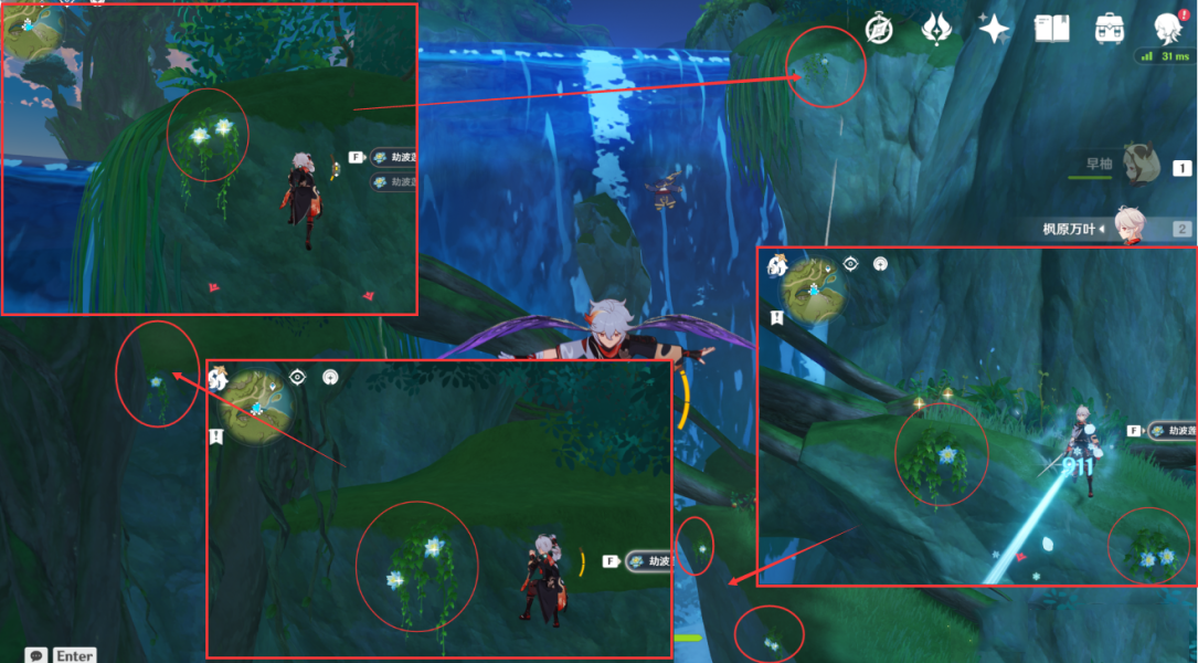 原神劫波莲采集位置介绍12 原神劫波莲采集位置介绍12