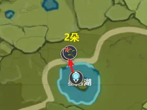 原神风车菊怎么快速采集_原神风车菊快速采集路线