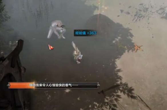 命运方舟梦幻岛摩可可位置介绍6 命运方舟梦幻岛摩可可位置介绍6