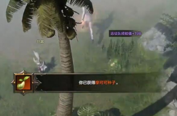 命运方舟梦幻岛摩可可位置介绍2 命运方舟梦幻岛摩可可位置介绍2
