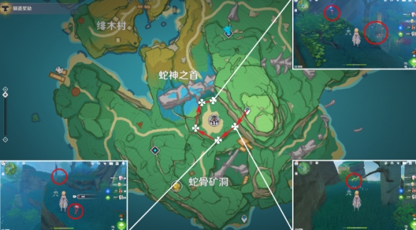 原神血斛收集路线推荐3 原神血斛收集路线推荐3