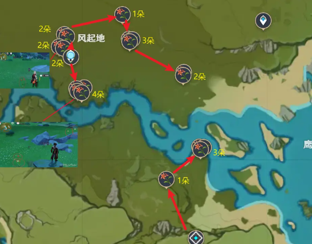 原神风车菊怎么快速采集_原神风车菊快速采集路线