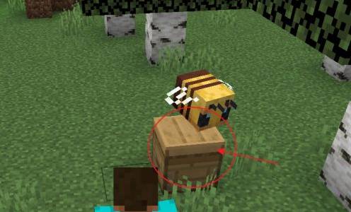 我的世界养殖蜜蜂方法介绍4 我的世界养殖蜜蜂方法介绍4