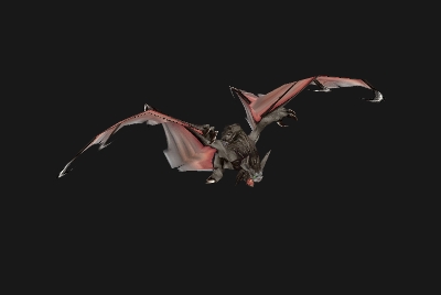 魔兽世界wlk蝙蝠在哪抓_wowwlk怀旧服蝙蝠宝宝抓取位置汇总