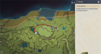 原神梦境与树前往指定地点到达方法介绍2 原神梦境与树前往指定地点到达方法介绍2