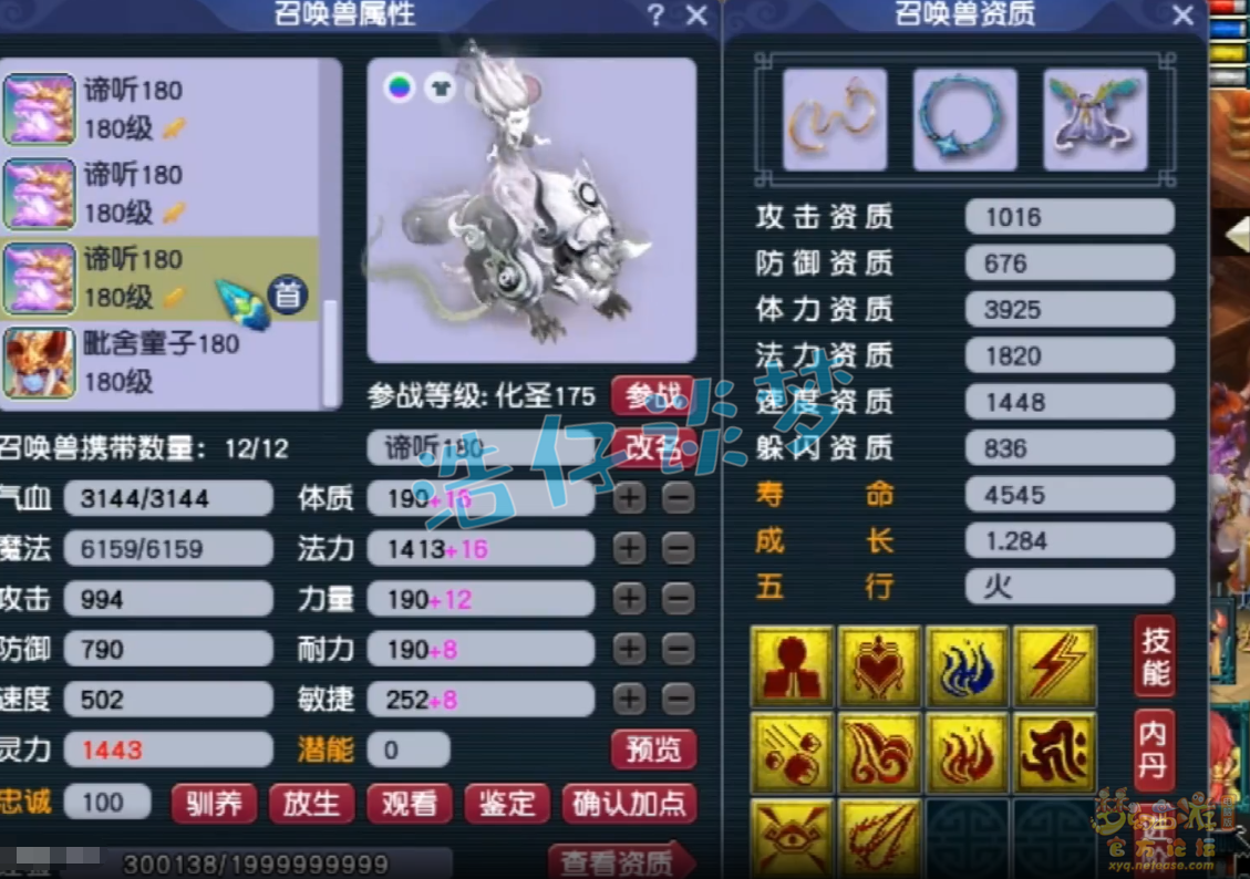 梦幻西游服战五庄观面板展示_服战五庄观面板怎么样