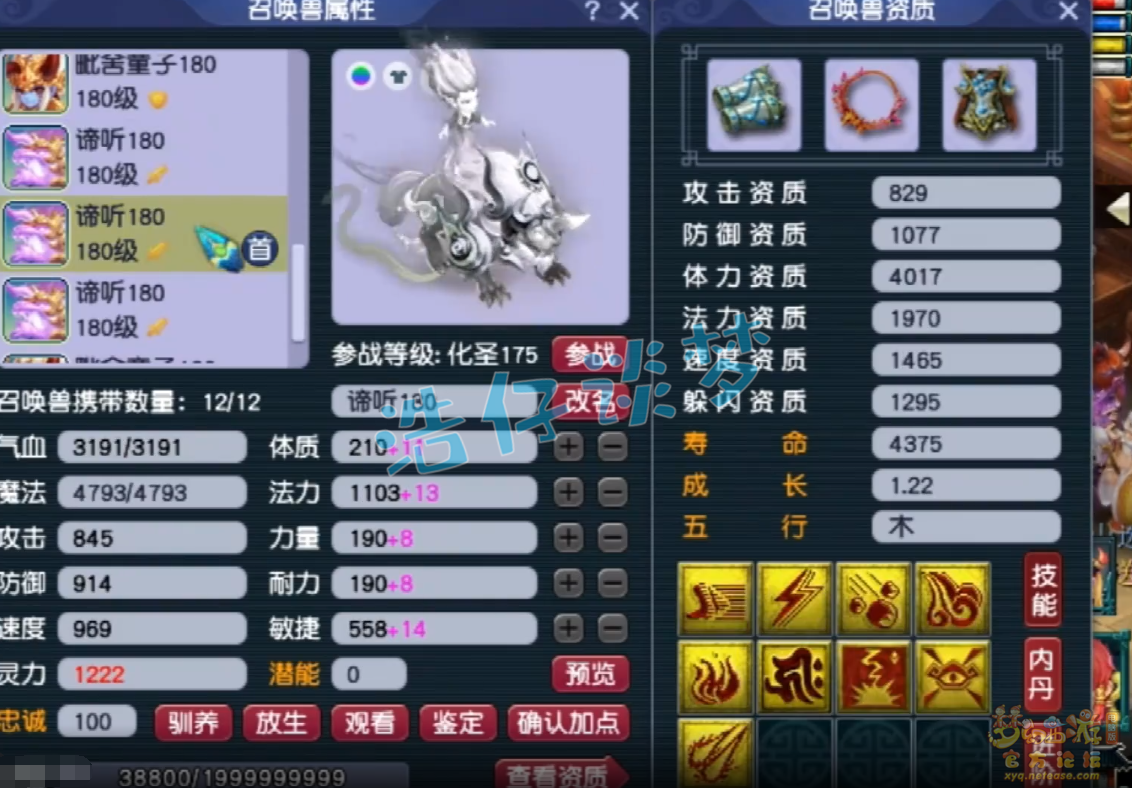 梦幻西游服战五庄观面板展示_服战五庄观面板怎么样