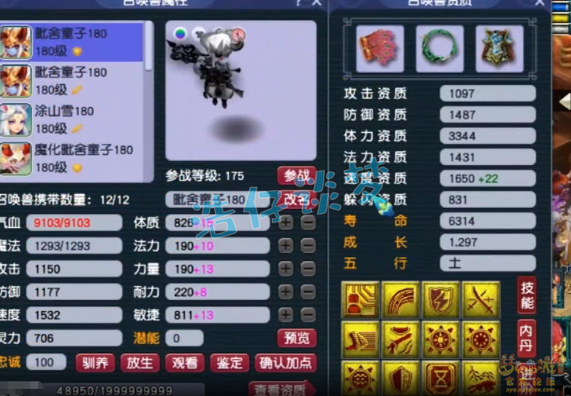 梦幻西游服战五庄观面板展示_服战五庄观面板怎么样