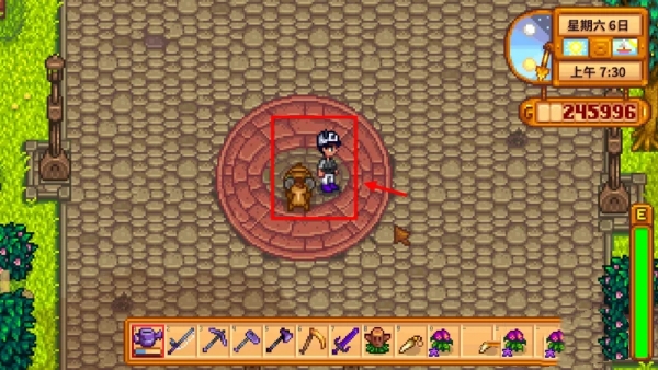 星露谷物语特殊的魅力怎么获得图二