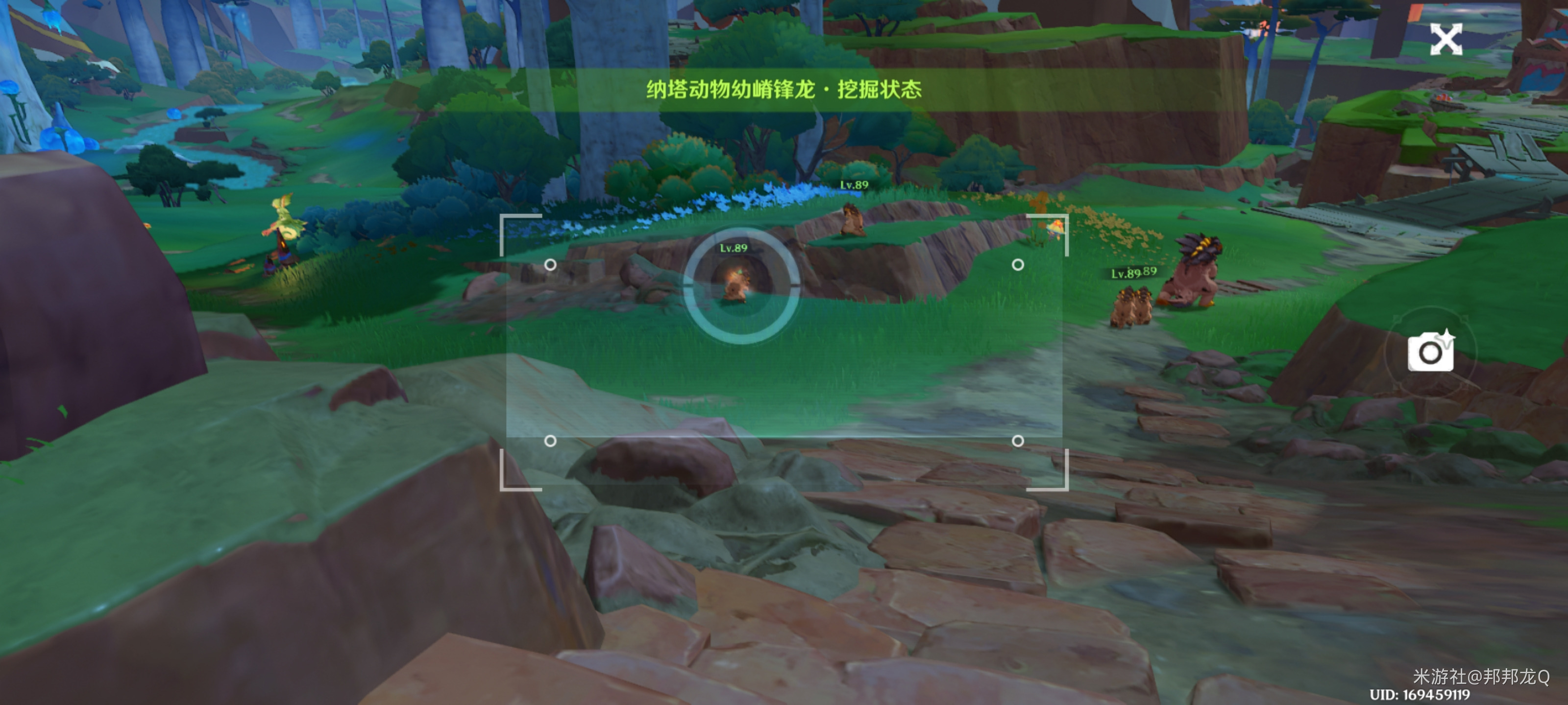 原神绮绘的踪绪第一天活动攻略-第一阶段叫回声之子怎么过