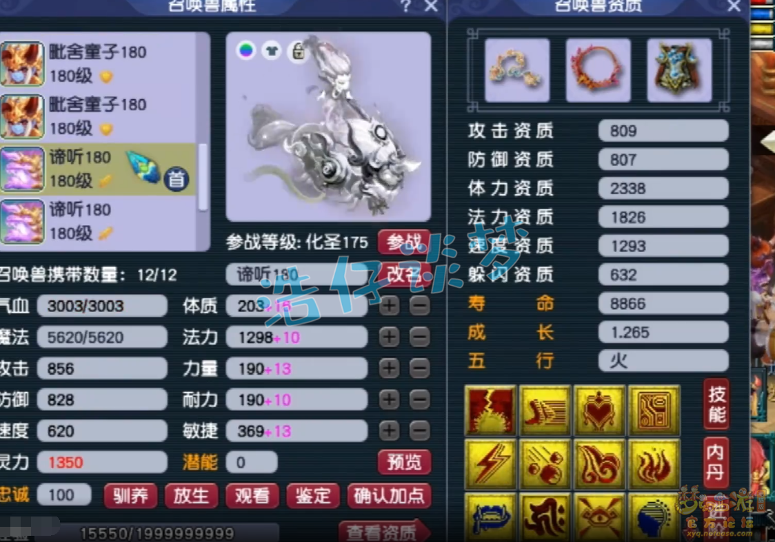 梦幻西游服战五庄观面板展示_服战五庄观面板怎么样