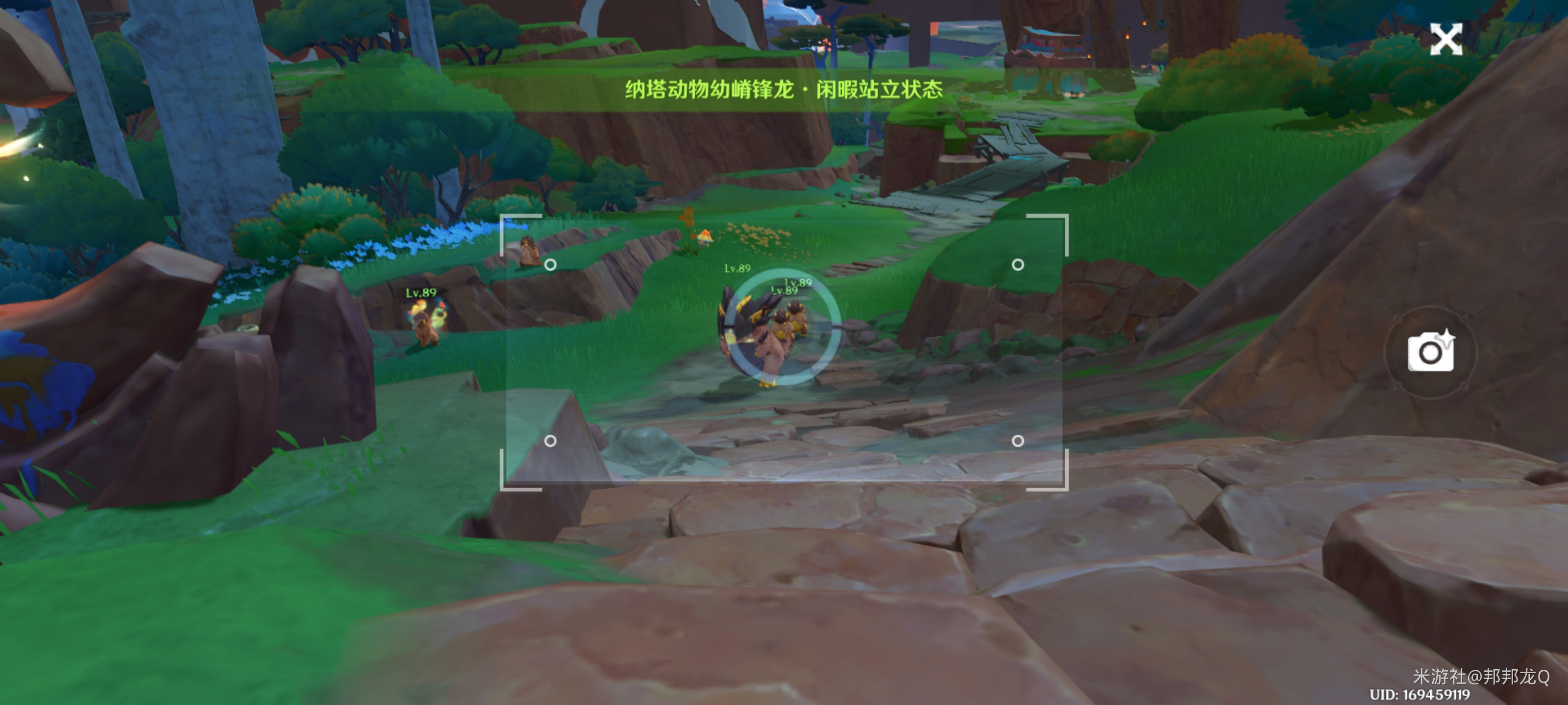 原神绮绘的踪绪第一天活动攻略-第一阶段叫回声之子怎么过