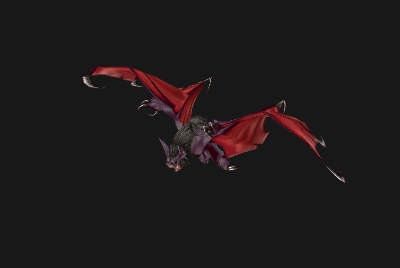 魔兽世界wlk蝙蝠在哪抓_wowwlk怀旧服蝙蝠宝宝抓取位置汇总