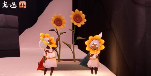 光遇运动会开启时间及玩法一览 《光遇》运动会开启时间及玩法一览