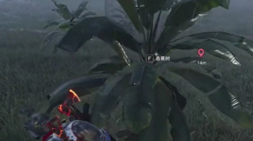 七日世界香蕉怎么获得图三 七日世界香蕉怎么获得图三