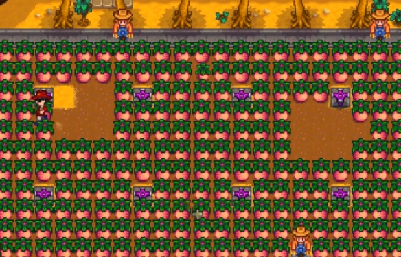 星露谷物语作物研究任务怎么做图三 星露谷物语作物研究任务怎么做图三