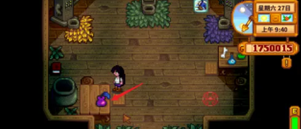 星露谷物语姜岛图腾柱怎么解锁图二 星露谷物语姜岛图腾柱怎么解锁图二