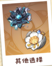 原神卡齐娜圣遗物怎么选择图四 原神卡齐娜圣遗物怎么选择图四