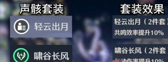 鸣潮秧秧声骸词条选择推荐