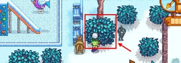 星露谷物语冬日谜团任务怎么做 星露谷物语冬日谜团任务怎么做